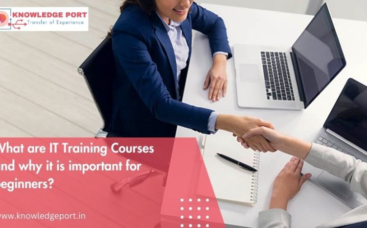 What are IT Training Courses and why it is important for beginners
